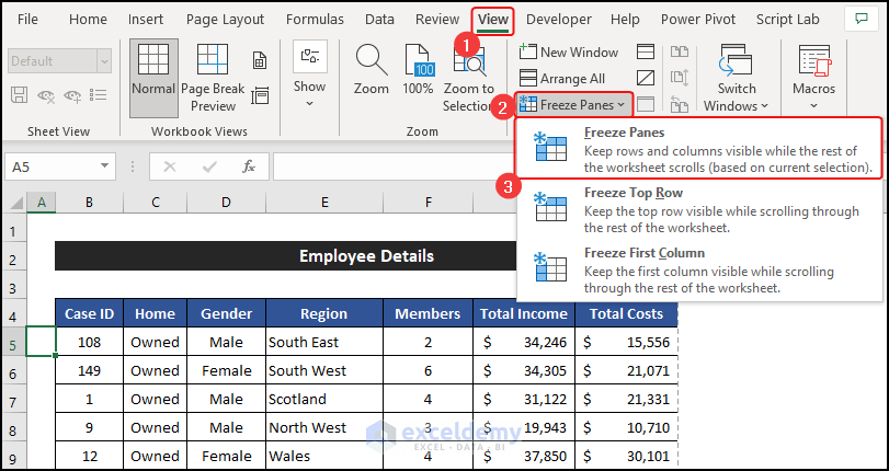 Fix Excel Rows to Repeat at Top Not Working When Scrolling