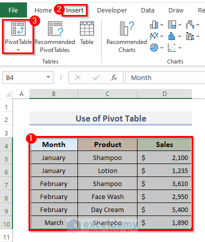 Categorize and Summarization of Data in Excel with Pivot Table