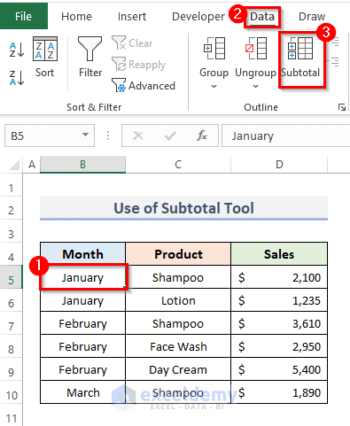 Group and Data Summarizing with Excel Subtotal Tool