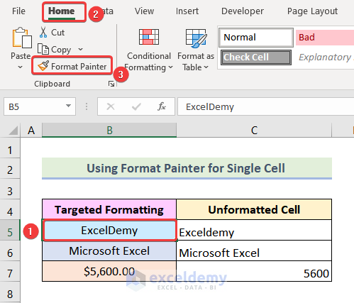 how to use format painter to copy formatting in excel Using Format Painter for a Single Cell