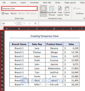 How to Use Sheet View in Excel (with Simple Steps) - ExcelDemy