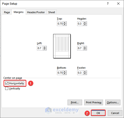 print preview not available in excel Editing Page Layout Tab Options