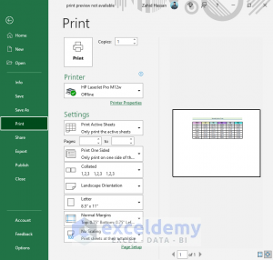 [Fixed!] Print Preview Not Available in Excel - ExcelDemy