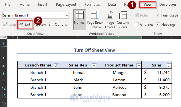 turn off sheet view in excel