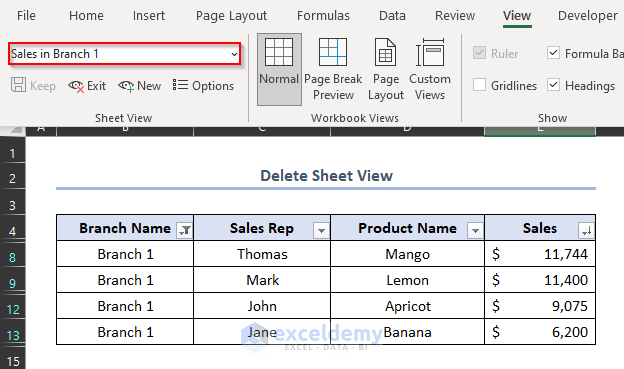 turn off sheet view in excel, delete sheet view