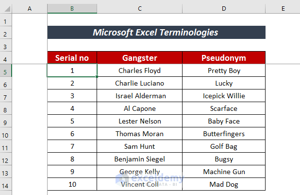 Microsoft Excel Editing Terminologies