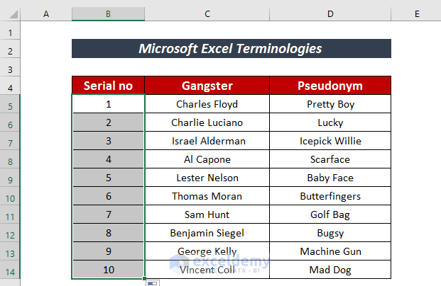 Microsoft Excel Terminologies
