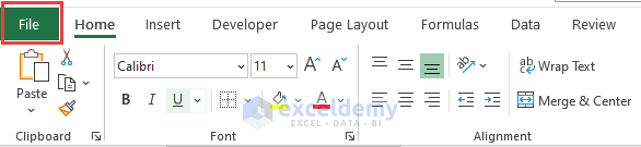 Clicking File tab