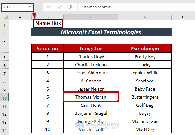 Introductory Terms of Excel