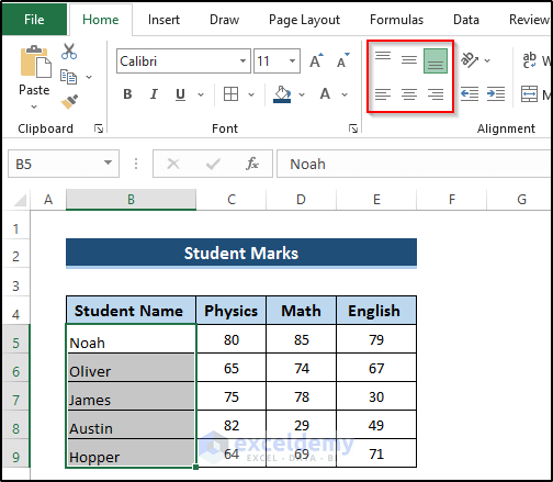 Default Alignment of Text in Excel