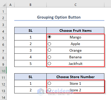 Grouping Option Button