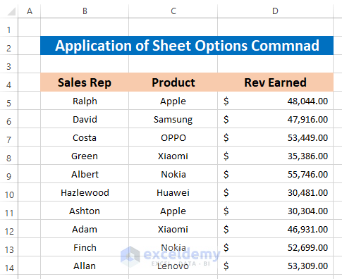 Hide Gridlines Using Sheet Options Command