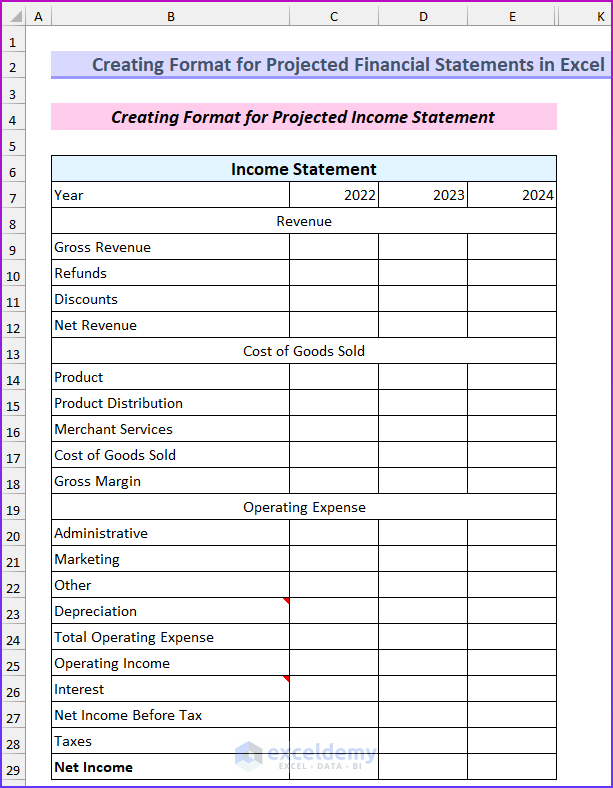 The First Projected Financial Statements in Excel Format