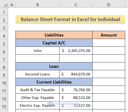 Arranging Dataset to Make Balance Sheet Format in Excel for Individual