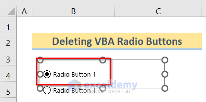 Selecting button to Insert Excel VBA Radio Button Input Box