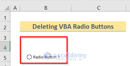 Deleting Button to Insert Excel VBA Radio Button Input Box
