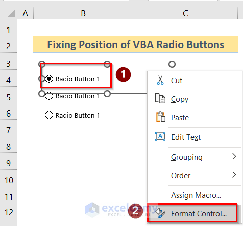 Fixing Position to Insert Excel VBA Radio Button Input Box