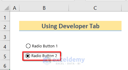 Using Developer Tab to Insert Excel VBA Radio Button Input Box