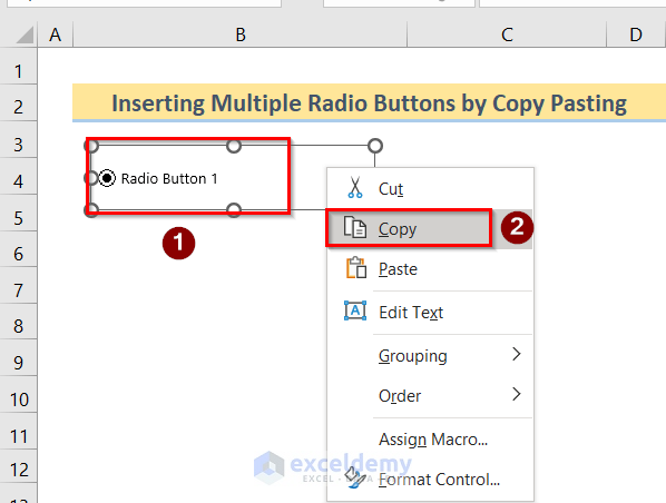 Insert Data Button How to Insert Excel VBA Radio Button Input Box (3 Easy Methods)