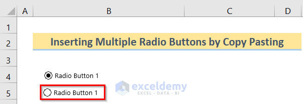 Pasting to Insert Excel VBA Radio Button Input Box