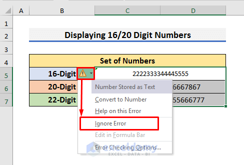 How to Display 16/20 Digit Numbers in Excel