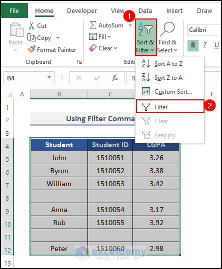 Using Filter Command to remove missing values in Excel