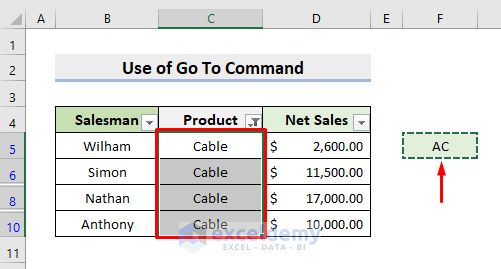 Paste into Visible Cells Only Through Go To Command in Excel