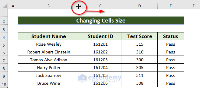 Expand Size of Cells for not Showing Border in Excel