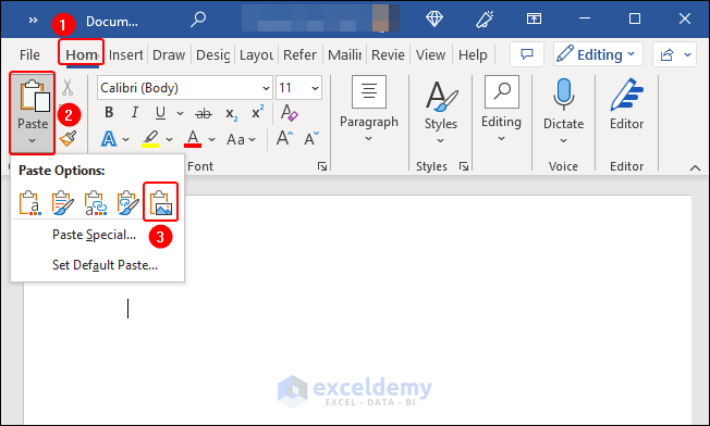 pasting as picture in word doc file