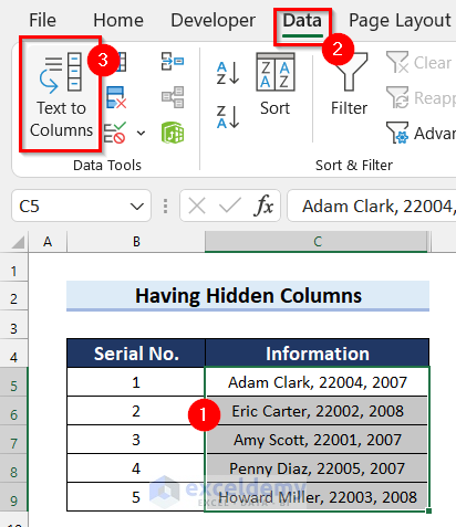 Having Hidden Columns in Excel