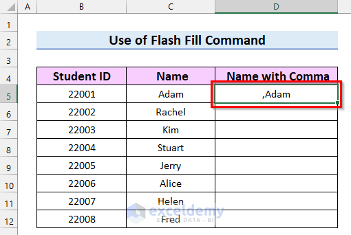 Use of Flash Fill Command to Add Comma Before Text