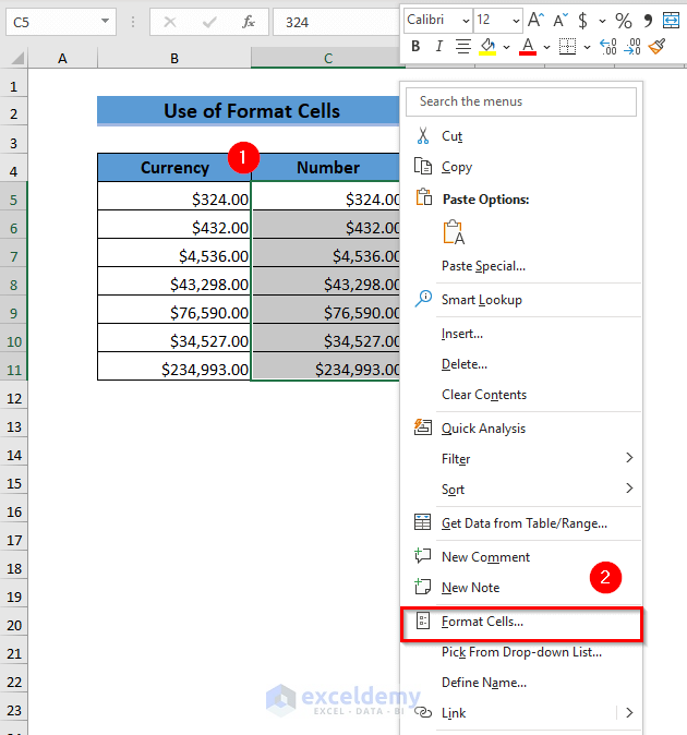 Use of Format Cells Option to Convert Currency to Number