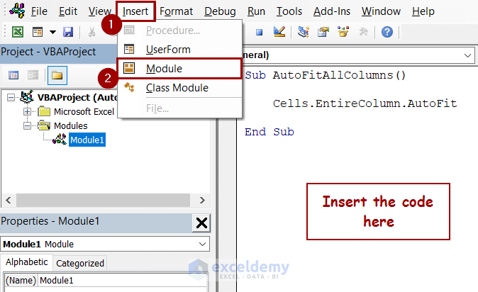 inserting module and code in vba