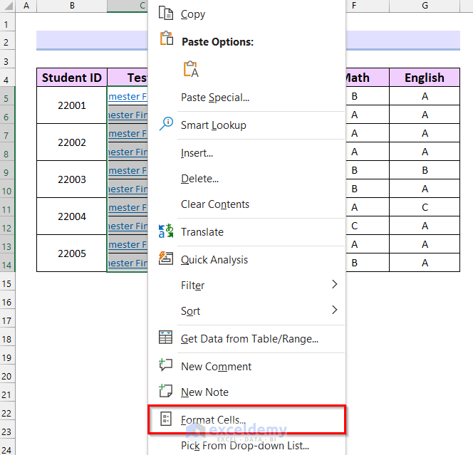 Formatting Cells to Show Full Cell Contents on Hover in Excel