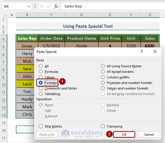 Selecting Formats from Paste Special dialog box