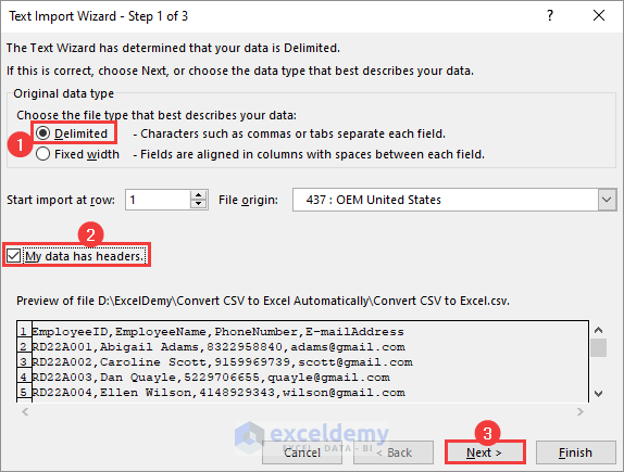 text import wizard to convert csv to excel