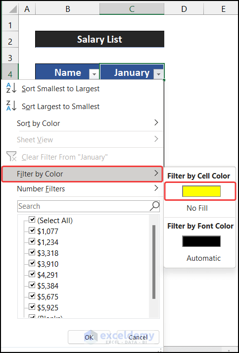 Applying Filter by Color Command to Filter Data