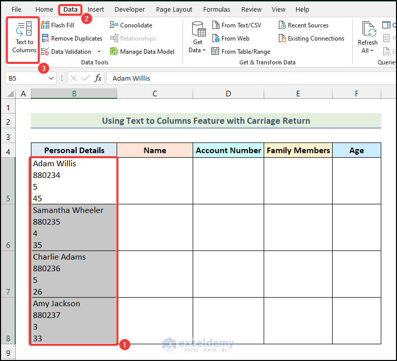 Select Data Type to use the Text to Columns option with carriage return in Excel