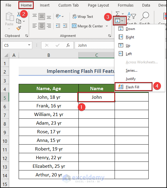 Implementing Flash Fill Feature
