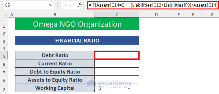 ngo balance sheet format in excel step 3