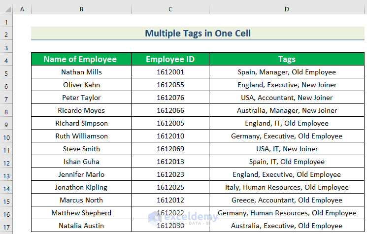  Dataset of Excel Multiple Tags in One Cell