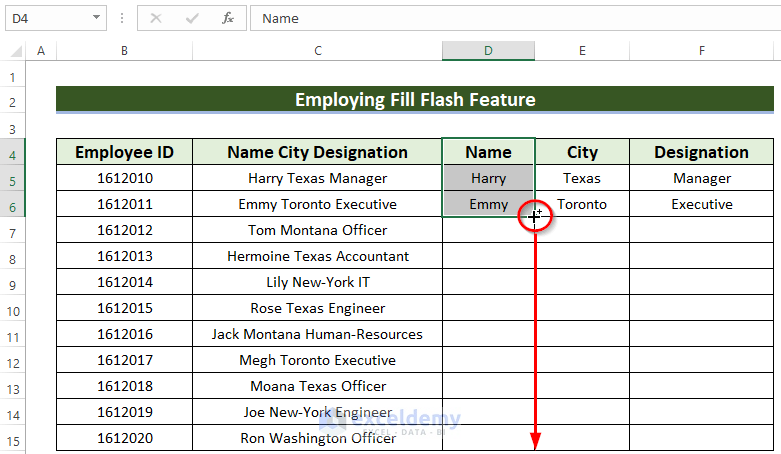 Using Fill Handle icon to Convert Text to Columns in Excel