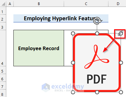 REsizing Image to Attach PDF file in Excel
