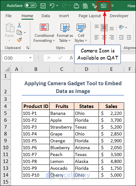 camera icon available on QAT in Excel file