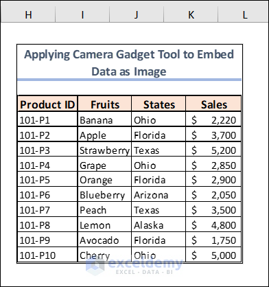 image taken by camera tool in Excel file