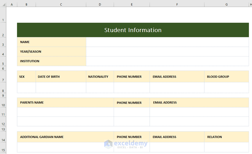 Create a Fillable Form using Excel Template