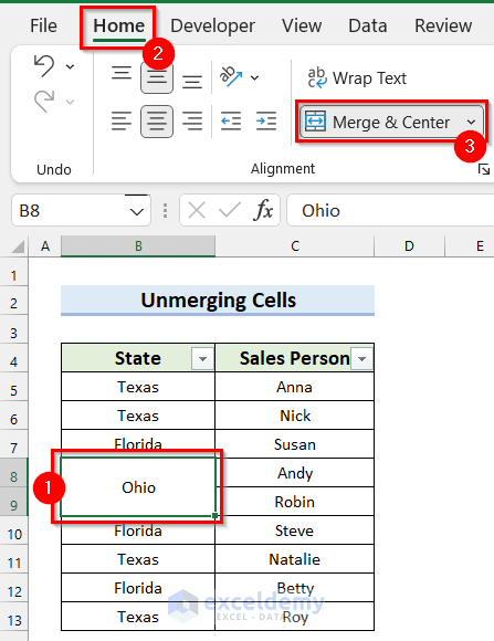 Unmerge Cells When Excel Filter is Not Working After Certain Row