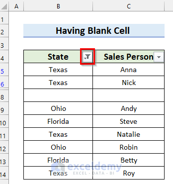Excel Filter is Not Working After Certain Row Because of Having Blank Cell in Range