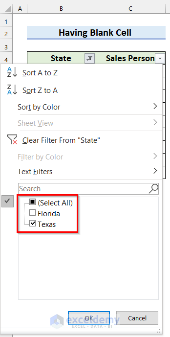 Clicking on Filter Button to See Where the Problem is when Excel Filter Is Not Working After Certain Row
