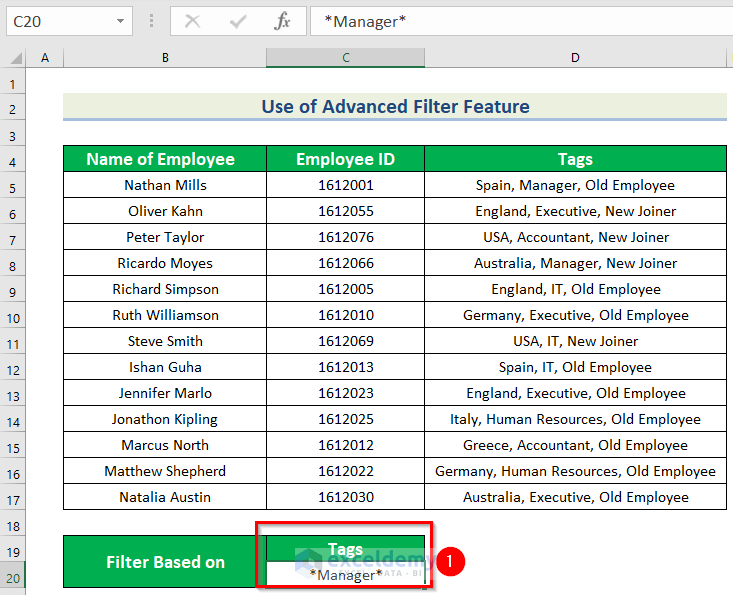 Applying Advanced Filter on Multiple Tags in One Cell in Excel